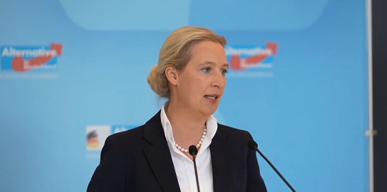 Alice Weidel Criticizes German Ukraine Aid and Calls for Negotiations